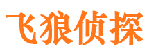 淳安飞狼私家侦探公司